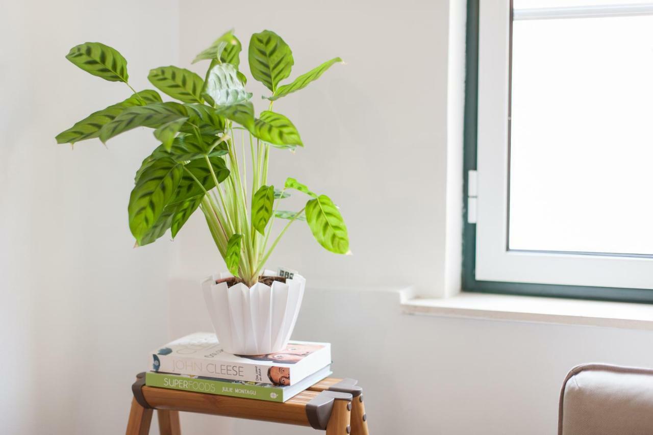 Martim Moniz Studio Apartments - By Lu Holidays 리스본 외부 사진